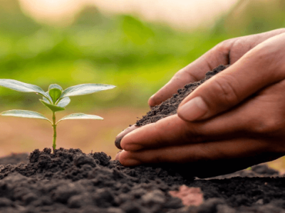 O efeito de melhoria do ácido húmico no solo - efeito físico