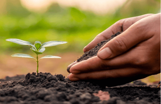 O efeito de melhoria do ácido húmico no solo - efeito físico.jpg