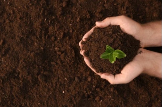 O efeito de melhoria do ácido húmico no solo - efeito químico.jpg