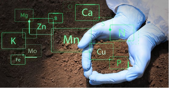 O efeito de melhoria do ácido húmico no solo - efeito químico.jpg