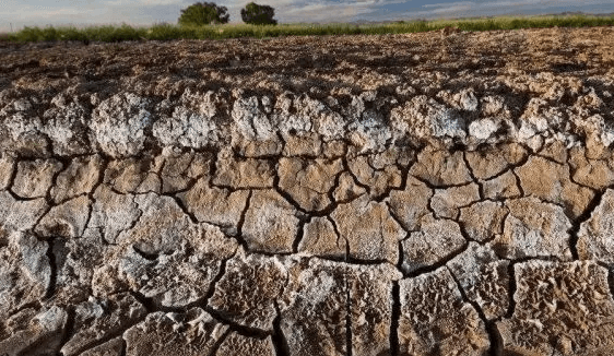 Terra salina-alcalina.jpg