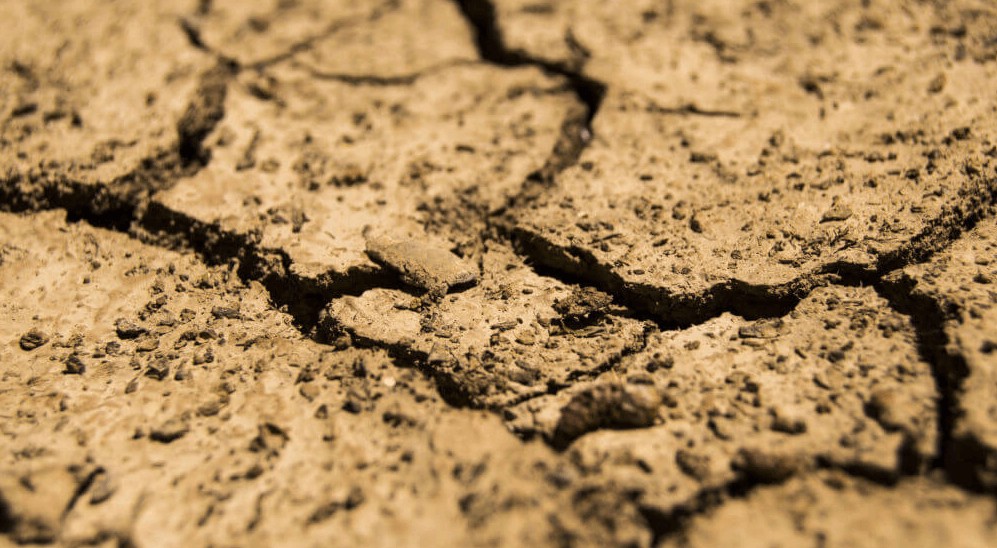 Solo Acidificado.jpg