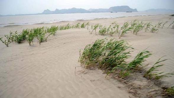 Solo Desertificado.jpg