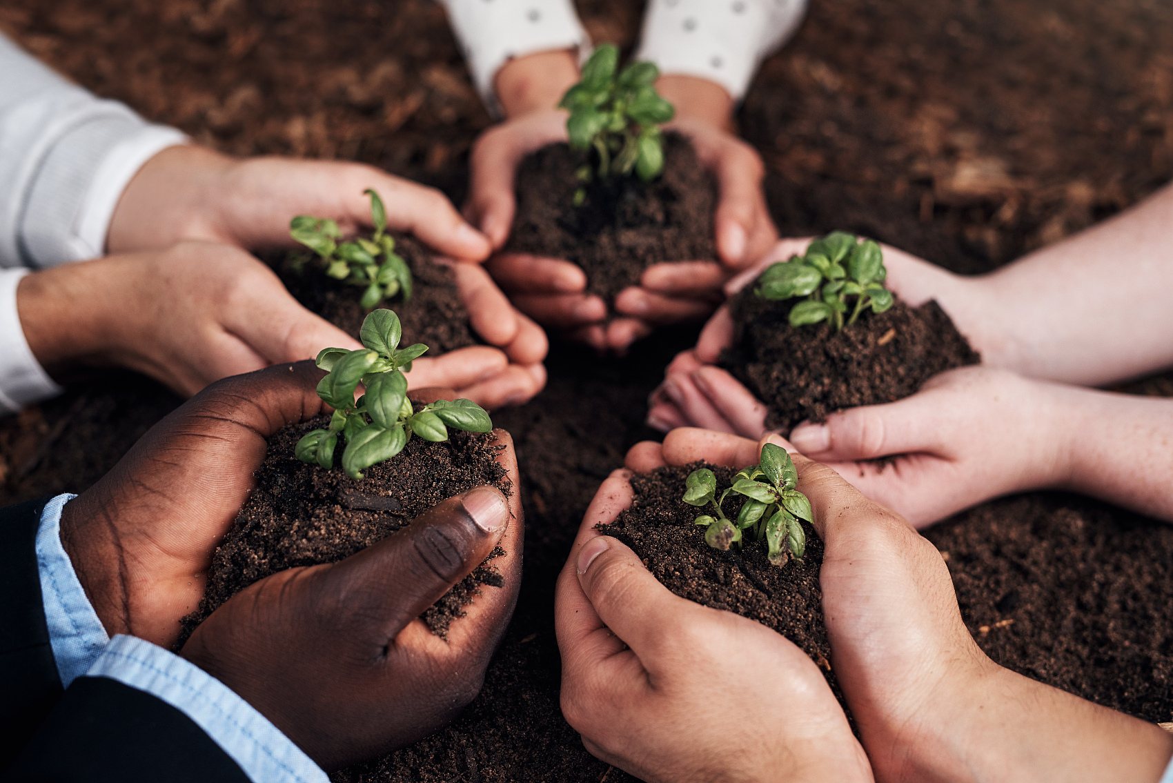 As oito funções e os cinco efeitos da fonte mineral ácido fúlvico. jpg