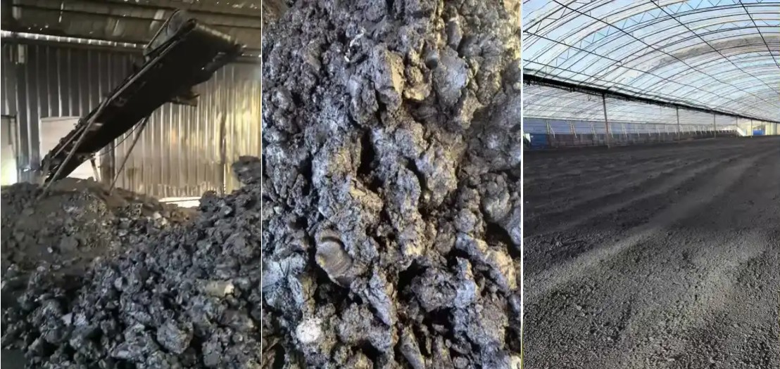 Processo de produção.jpg