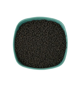 Ácido húmico para alimentação de gramado para plantas.jpg