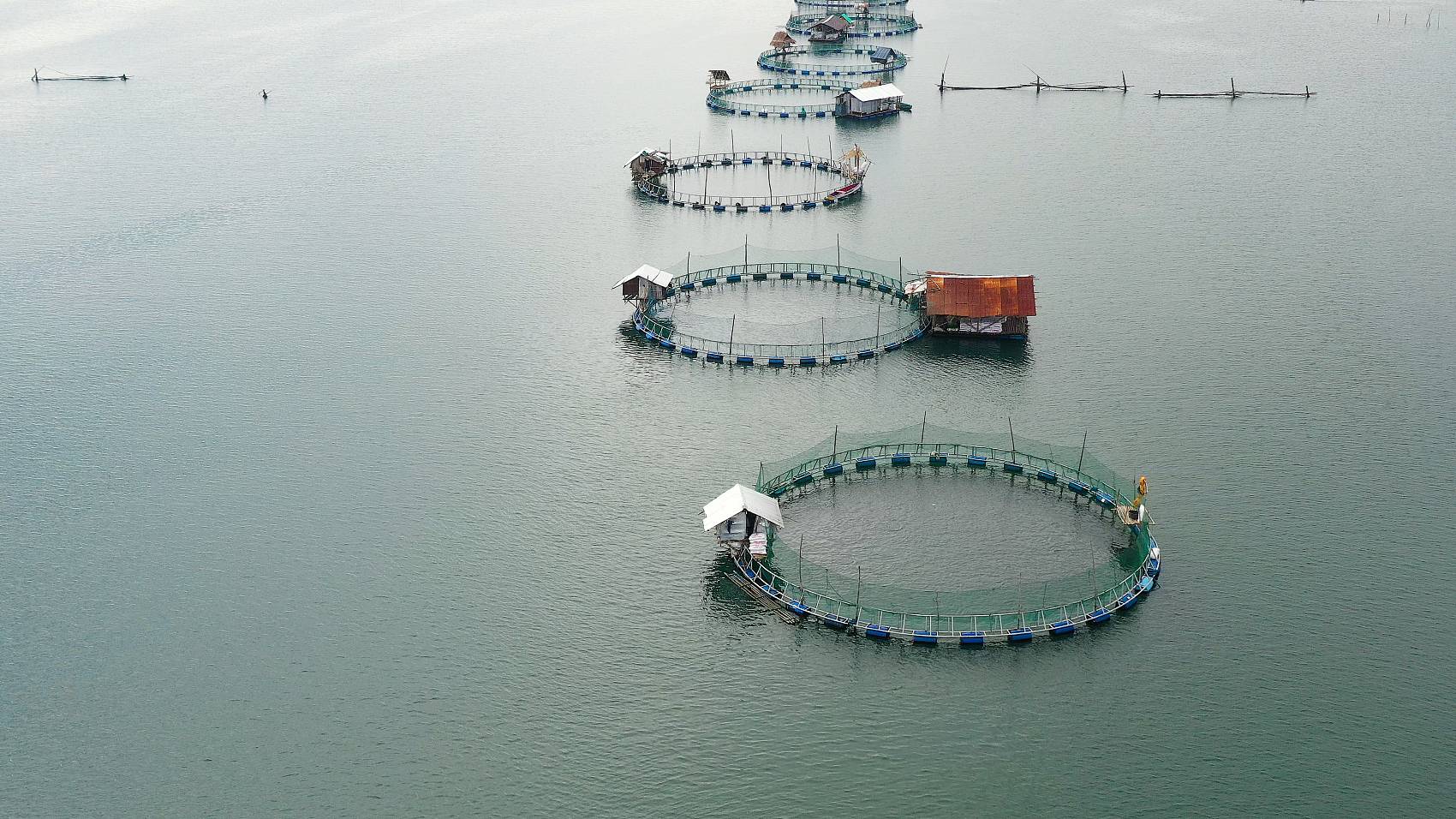 Aplicação de Humate de sódio em Farming.jpg